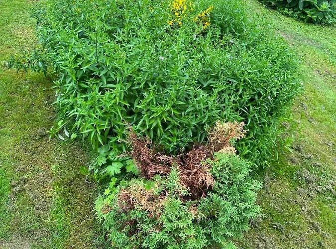 Moekki * Киркконумми